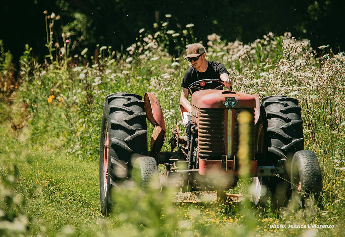 Man on tractor working field foot plot before whitetail deer hunting season. Man on tractor working field foot plot before whitetail deer hunting season.