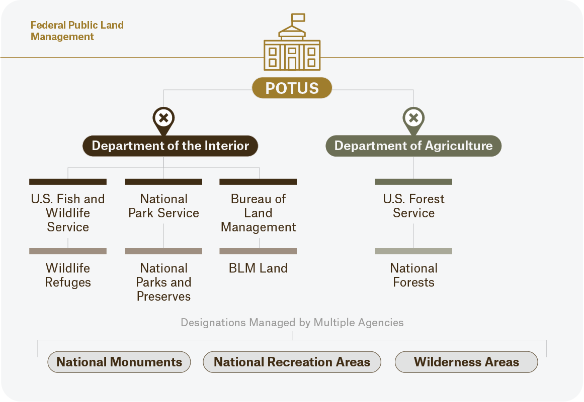 Tree diagram showing what forms of government manages each type of federal public land