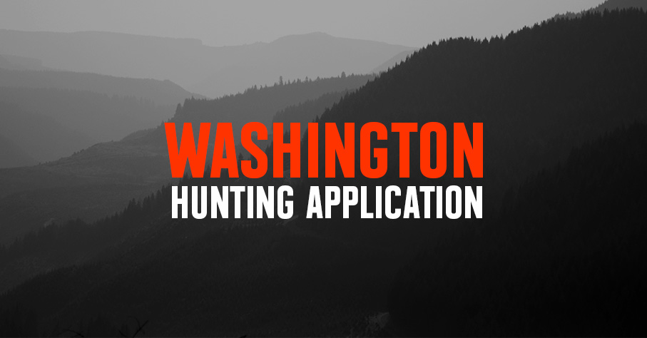 2024 Washington Featured