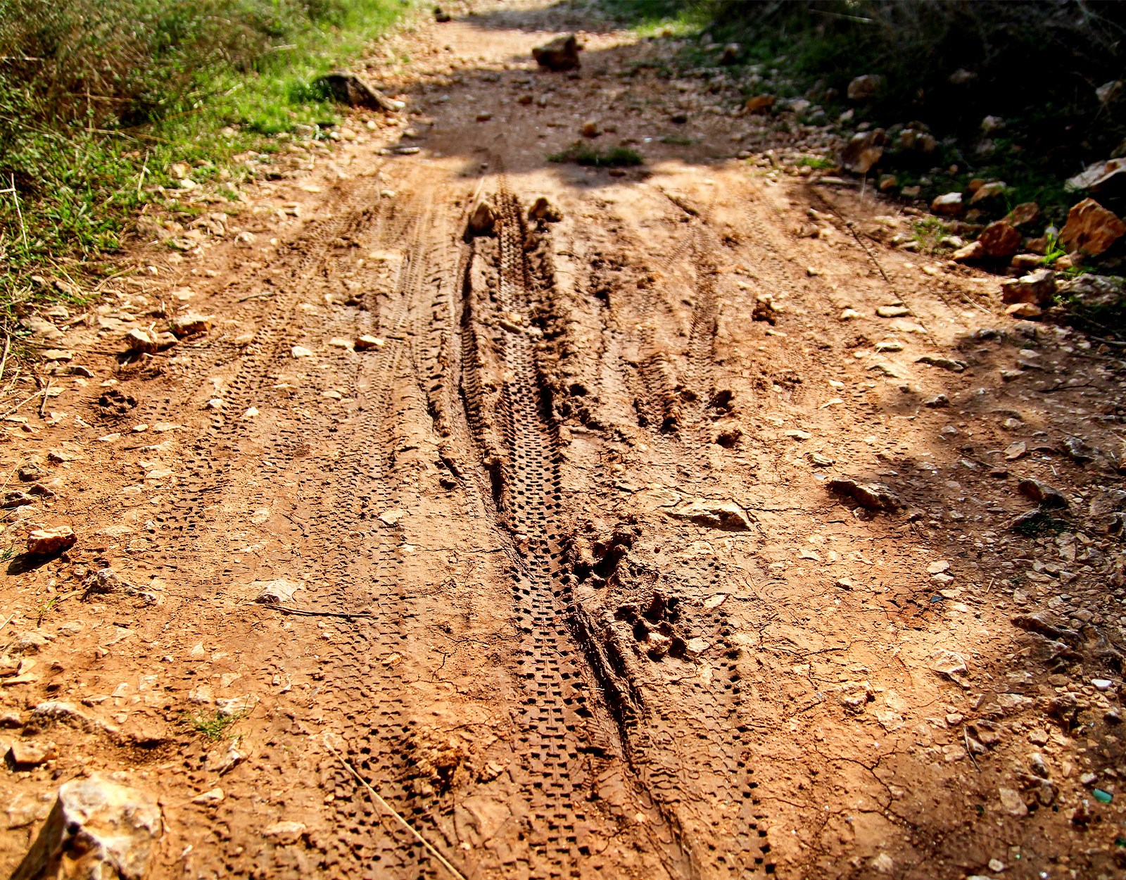 a dirt trail with e-bike tracks
