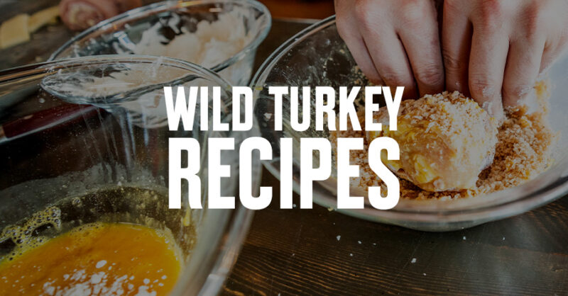 wild turkey recipes