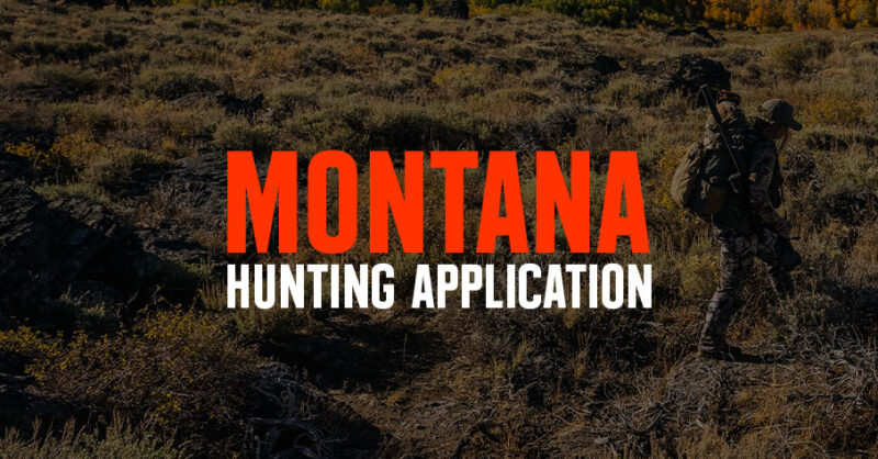 Montana hunting application